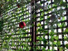 -郑阿姨的家·이모네·韩料&烤肉(武川路店)