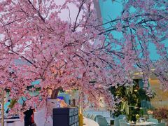 -花开餐厅(环湖中路店)