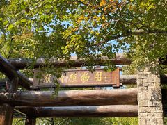 -杭州植物园