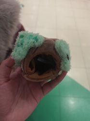 -哈姆雷斯(王府井百货大楼店)