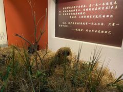 -邱少云烈士纪念馆