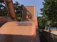 -重庆海昌加勒比海水世界