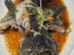 龙胆鱼-谊荣海鲜大牌档(石湖店)