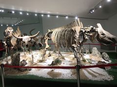 -南通洲际绿博园