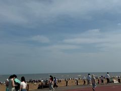 -日照海滨国家森林公园