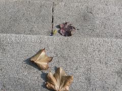 -山东外贸职业学院