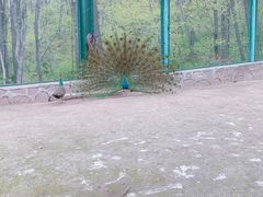 -哈尔滨北方森林动物园