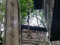 -天门沟九州驿站树上汤泉