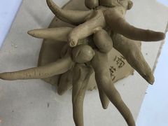 -学知乐教育·幼小衔接·小学科辅导(浦东外高桥森兰中心)