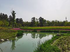 -天府芙蓉园