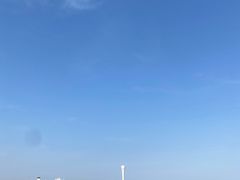 -上海吴淞炮台湾国家湿地公园