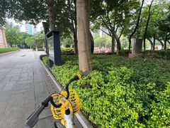 -映月湖公园