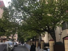 -青岛海滨风景区
