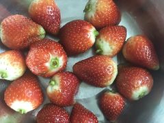 -公平菜粿(沙河店)
