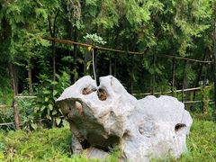 -西安大兴善寺