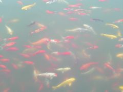 游乐设施-北京西山国家森林公园