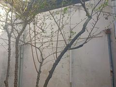 -黎里柳亚子纪念馆