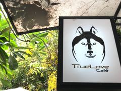 -TrueLove @ Neverland (Husky Cafe)