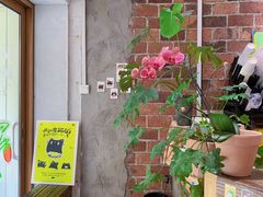 -ABCD咖啡屋(妇幼店)