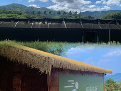 -四明山国家森林公园