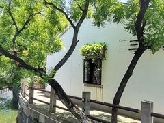 -鸣鹤古镇