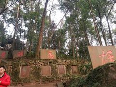 -峨眉山报国寺