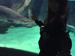 -常州海昌海洋探索馆