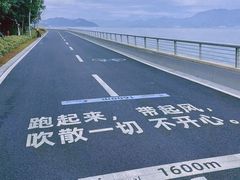 -杨梅坑