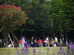 -五通灯塔公园