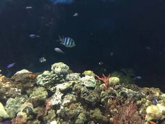 -福州罗源湾海洋世界旅游区