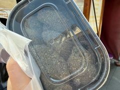-叶氏麻糍(鼓浪屿店)