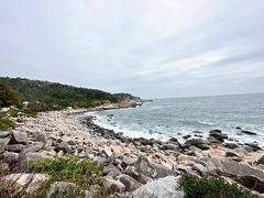 -广东惠东海龟国家级自然保护区