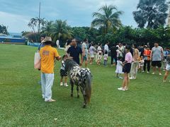 -三亚亚龙湾天域度假酒店