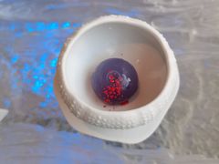-九献创意菜·新中式(亮马河花园私宴店)
