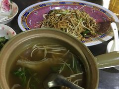 -大中鱼翅 Taitong Shark Fin
