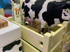 -红星前进面包牛奶公司(君太店)