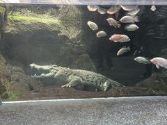-哈尔滨波塞冬海底世界