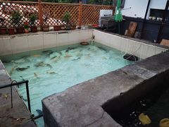 -钰田大院·怀柔地道农家菜·烤虹鳟鱼(雁栖湖店)
