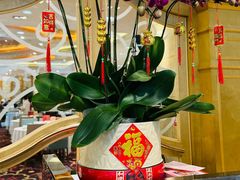 -東海海鲜酒家(中信广场店)