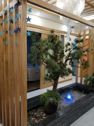 -芳朵美容养生SPA