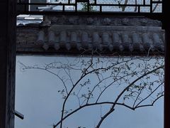 -碑林公园