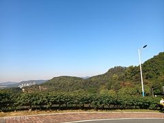 -火炉山森林公园