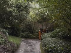 -腾冲洞山温泉村