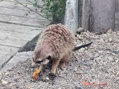 -水上乐园·欢乐世界