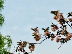 -西北湖绿化广场