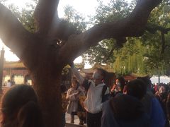 -西湖外事游船(湖滨二公园外事游船码头)