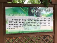 -御林古桑园