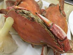 -春华海鲜城(广场西苑店)