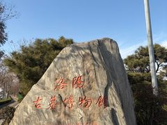 -洛阳古墓博物馆