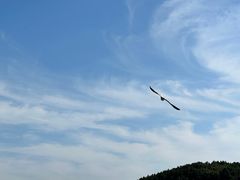 -山东大学(威海校区)